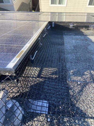 bird proofing solar panels san jose california