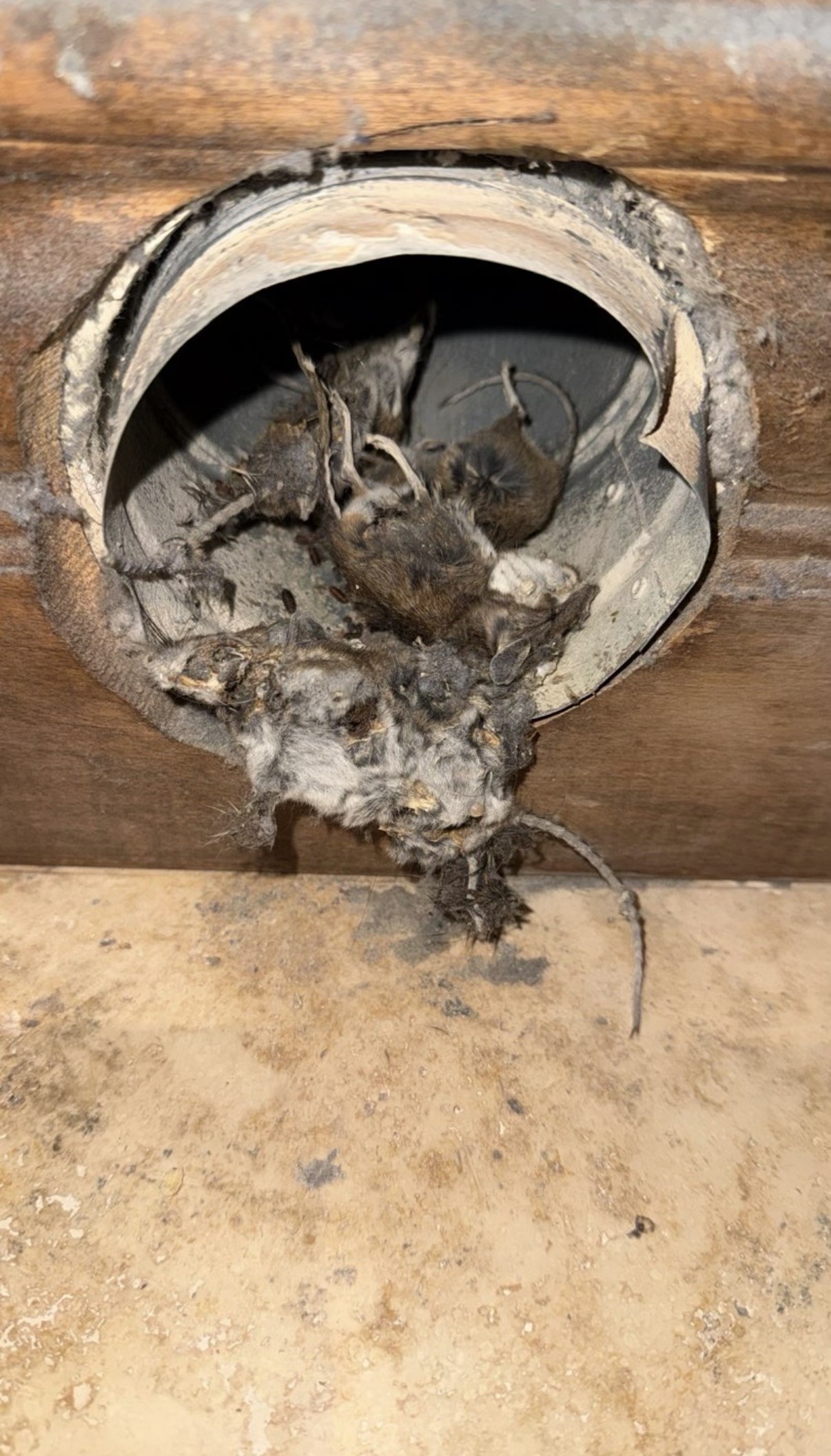 affordable dryer vent cleaning bay area