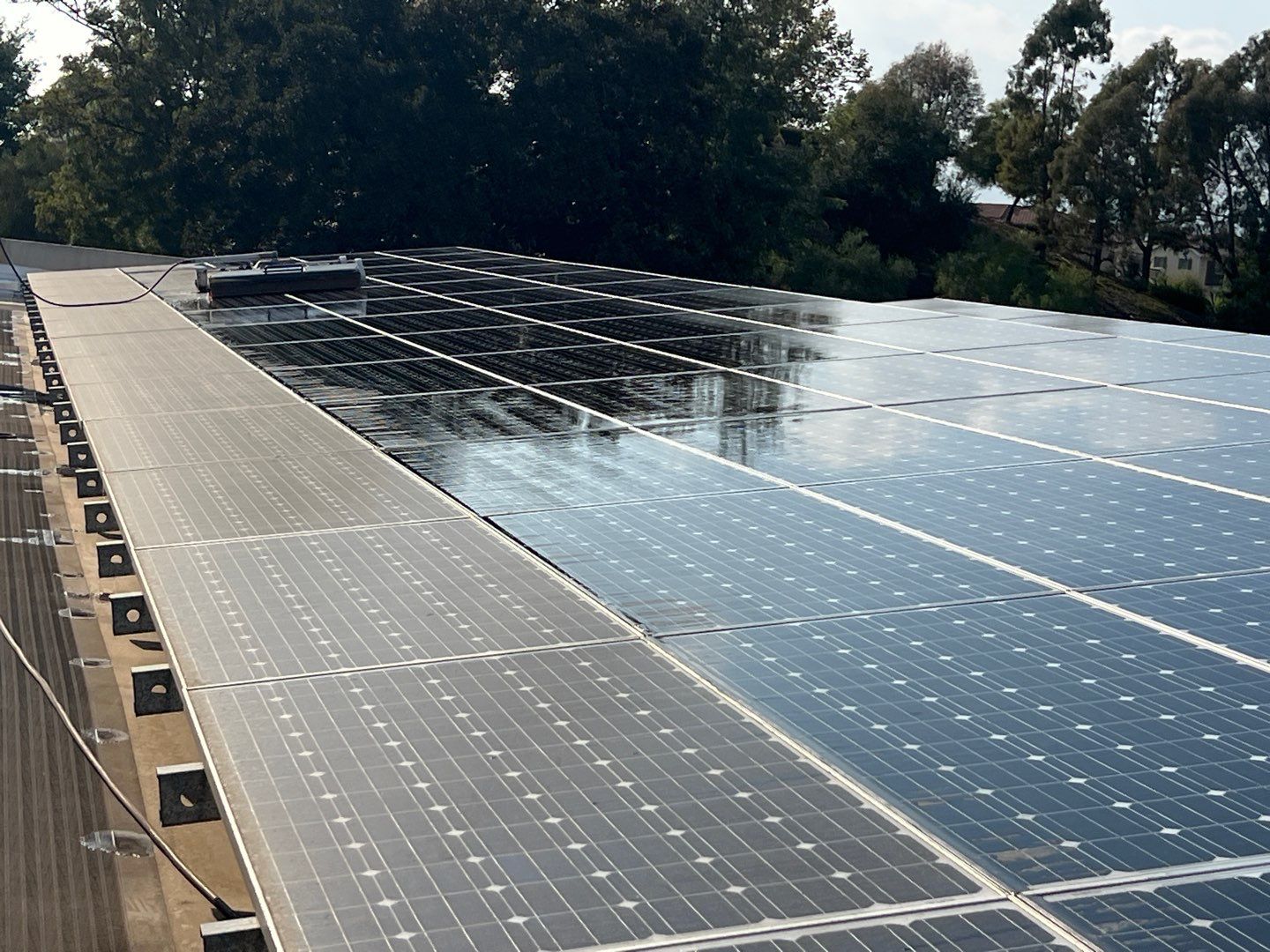 expert solar panel cleaning walnut creek